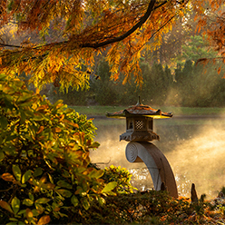 Lantern in Japanese Garden with fall foliage